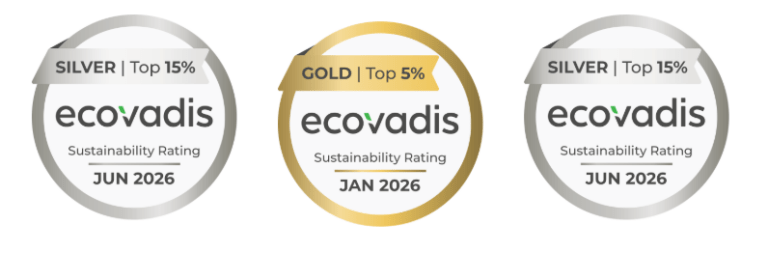 Read more about the article Haizea Wind Group reinforces its commitment to sustainability with new EcoVadis accreditations across all its companies